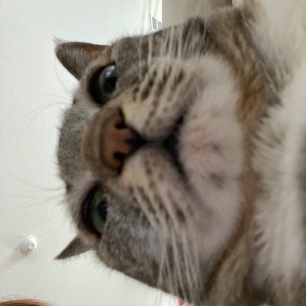 Meet your Posher, Tiana